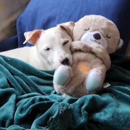 Luna Plüschotter
