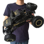Boleo - Ferngesteuertes Offroad RC Auto - Monster Truck