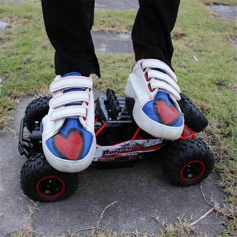 Boleo - Ferngesteuertes Offroad RC Auto