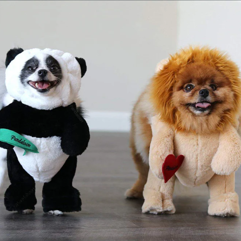 Panda Paws Halloween Kostüm