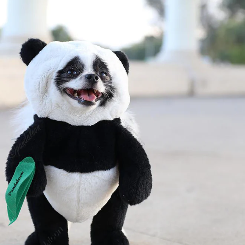 Panda Paws Halloween Kostüm