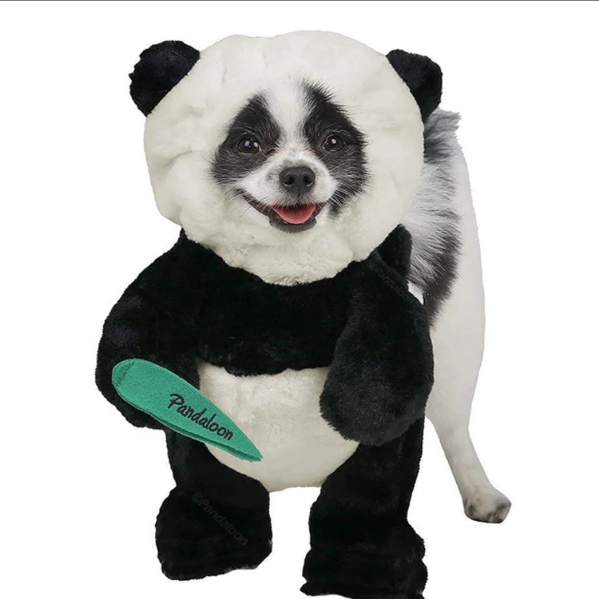Panda Paws Halloween Kostüm