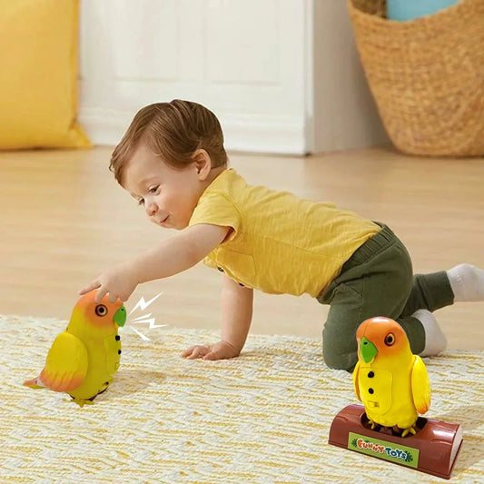 Pippo der Plauderpapagei