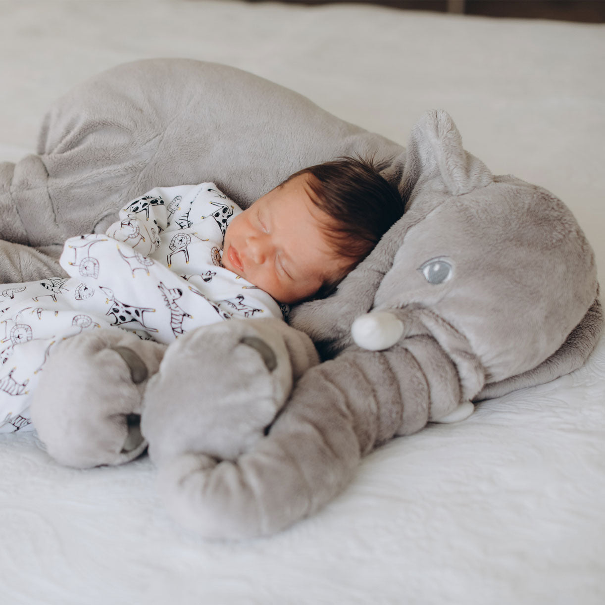 Baby Kuschelelefant Kuscheltier