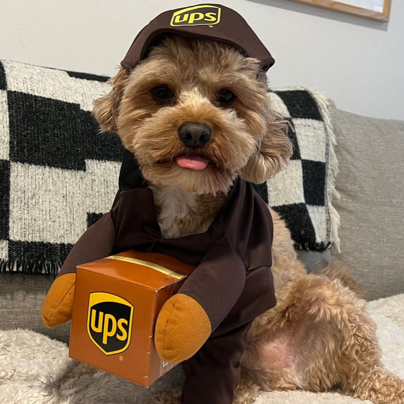 Fritz Halloween-Hundekostüm