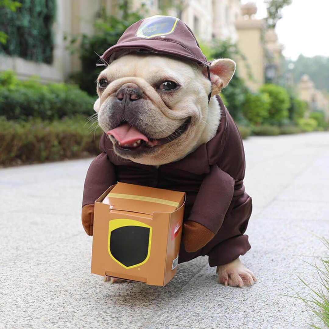 Fritz Halloween-Hundekostüm