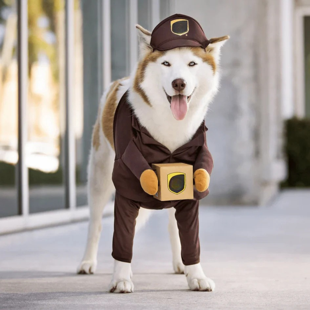Fritz Halloween-Hundekostüm