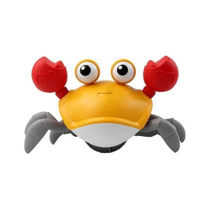 Kiki Krabbelzauber